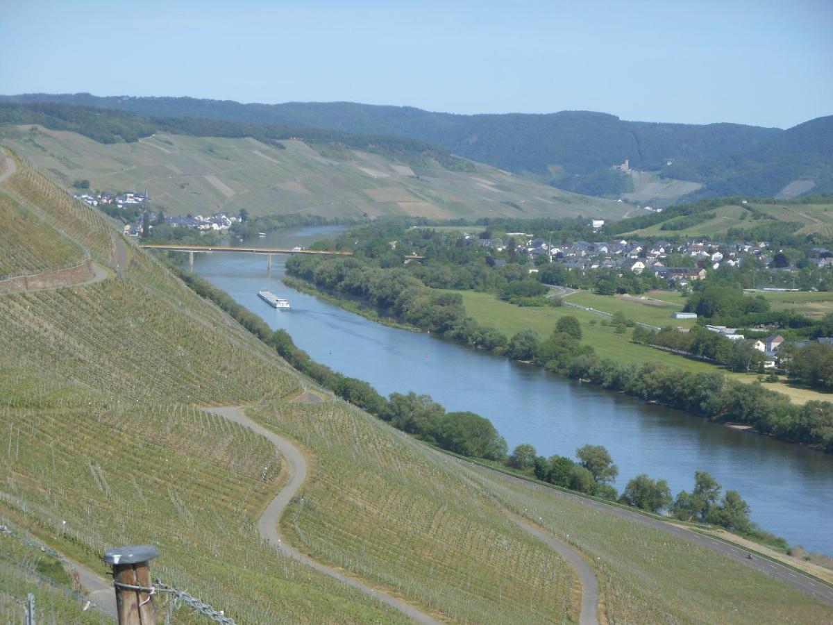 Ferienhaus Mosel Villa เบราเนอแบร์ก ภายนอก รูปภาพ