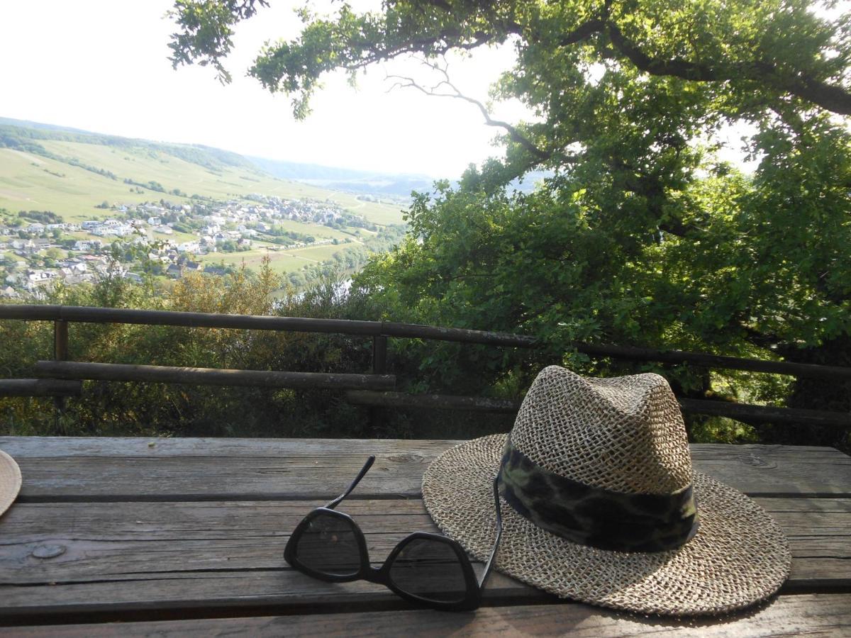 Ferienhaus Mosel Villa เบราเนอแบร์ก ภายนอก รูปภาพ