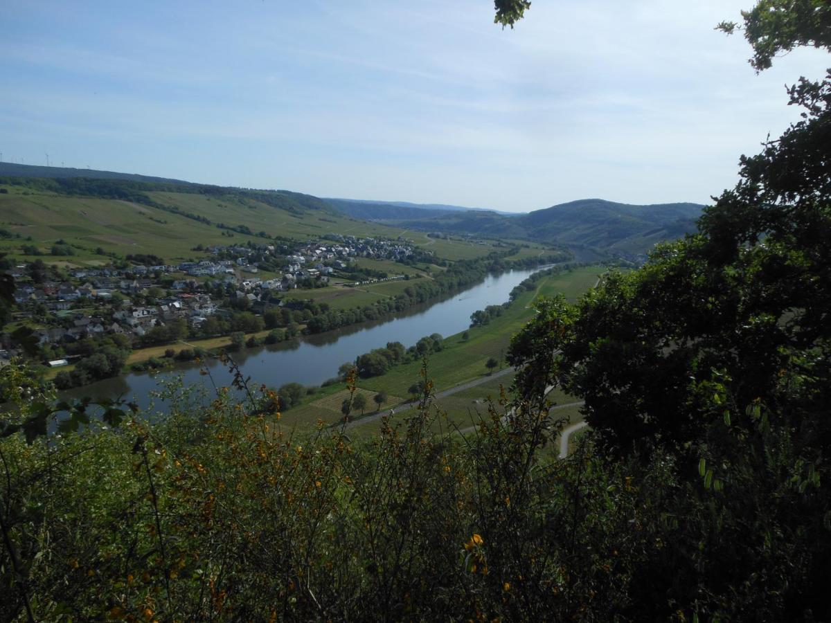 Ferienhaus Mosel Villa เบราเนอแบร์ก ภายนอก รูปภาพ